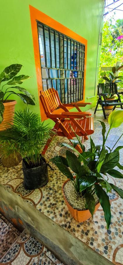 Hostal Tortuga Viajera Moyogalpa Extérieur photo