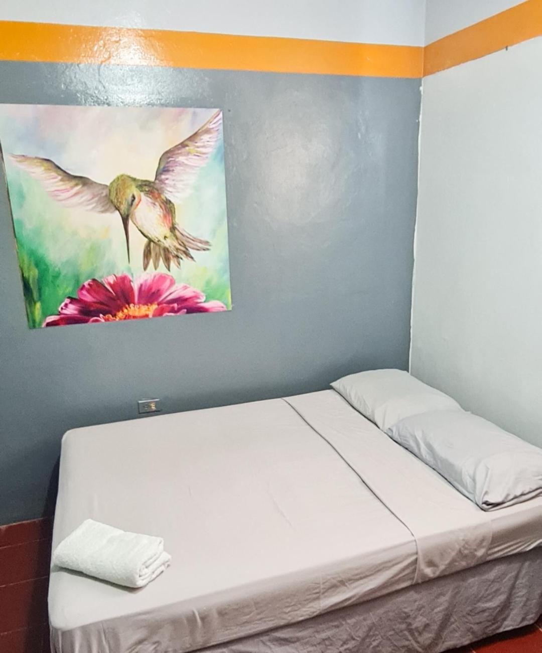 Hostal Tortuga Viajera Moyogalpa Chambre photo