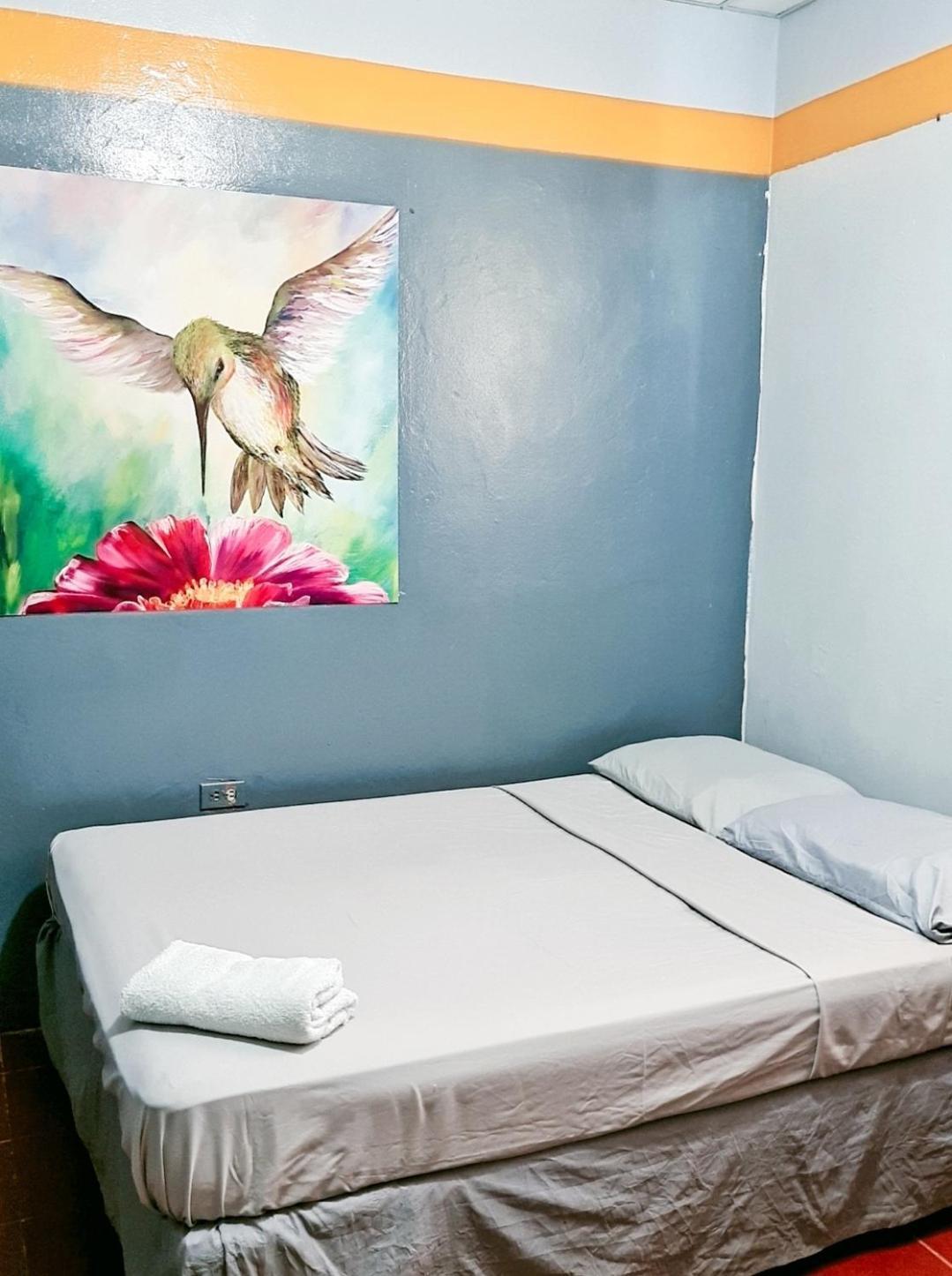 Hostal Tortuga Viajera Moyogalpa Chambre photo